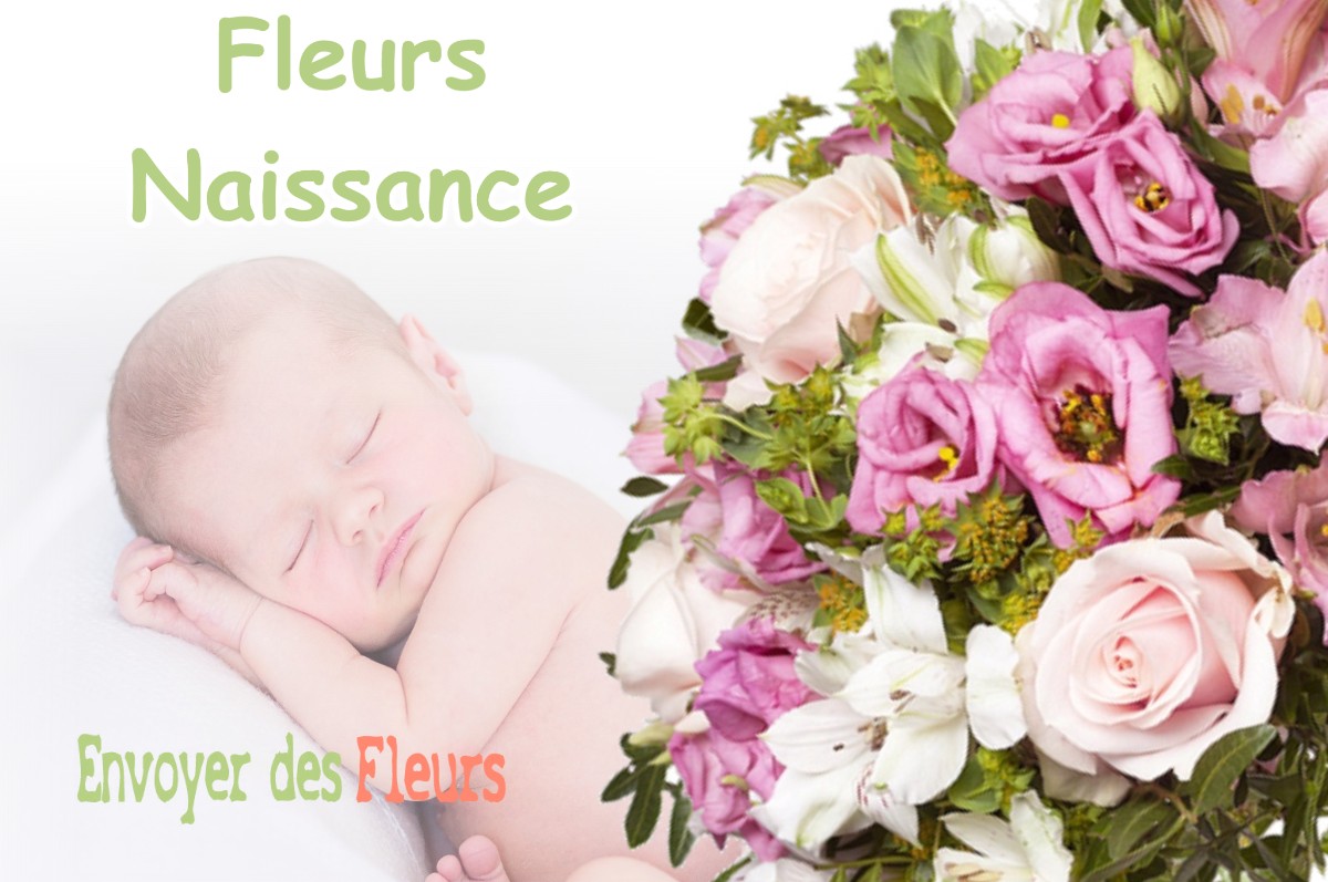 lIVRAISON FLEURS NAISSANCE à BOULBON